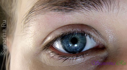 Макияж Смоки Айс (smoky eyes) пошагово: как делать?